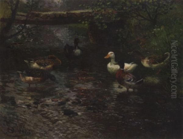 Enten Am Bachufer Oil Painting by Adolf Lins