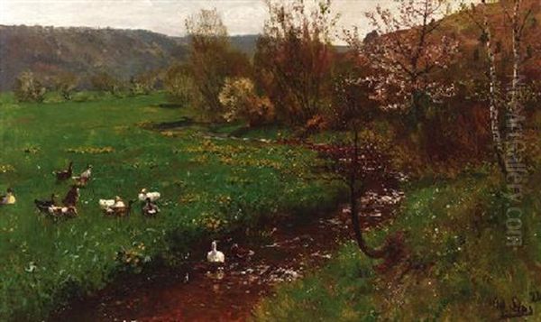 Enten Am Fruhlingshaften Bachlauf Oil Painting by Adolf Lins