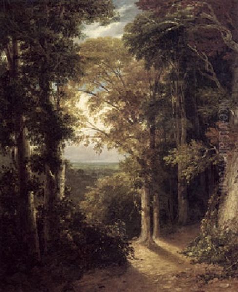 A Grove Scene In The Grounds Of Lord Northwick's Villa At Harrow Oil Painting by William Linton