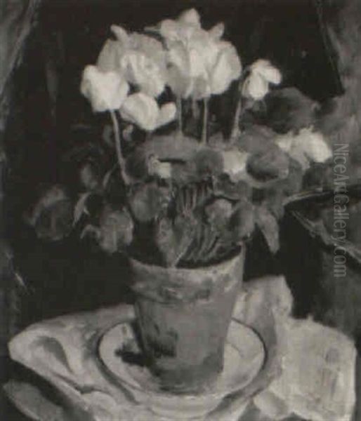 The White Cyclamen Plant Oil Painting by Edward Barnard Lintott