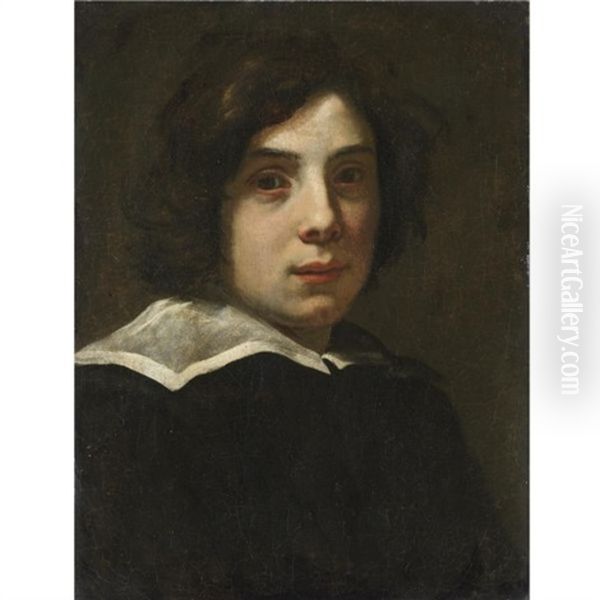 Portrait Of A Young Man Wearing Black With A White Collar Oil Painting by Lorenzo Lippi