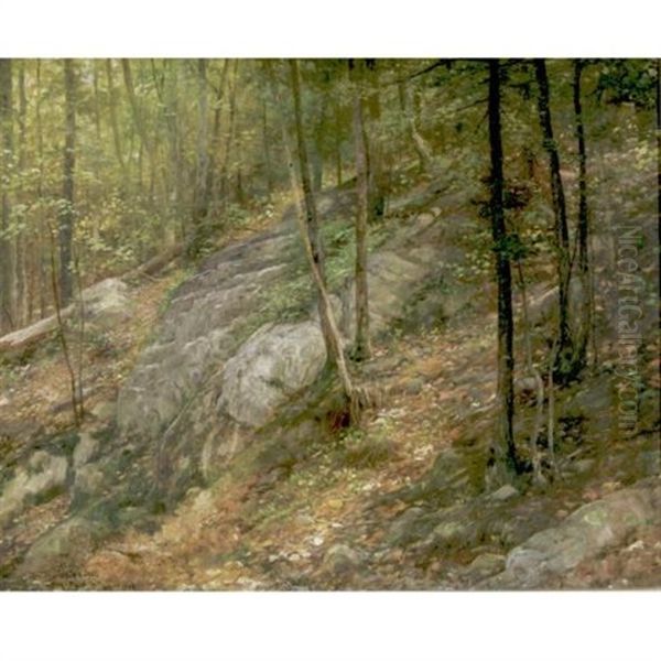 In The Woods Oil Painting by William Henry Lippincott