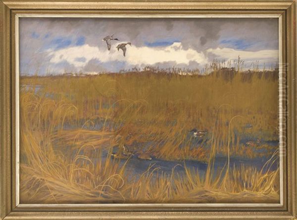 Enten Im Schilf Oil Painting by Friedrich Lissmann