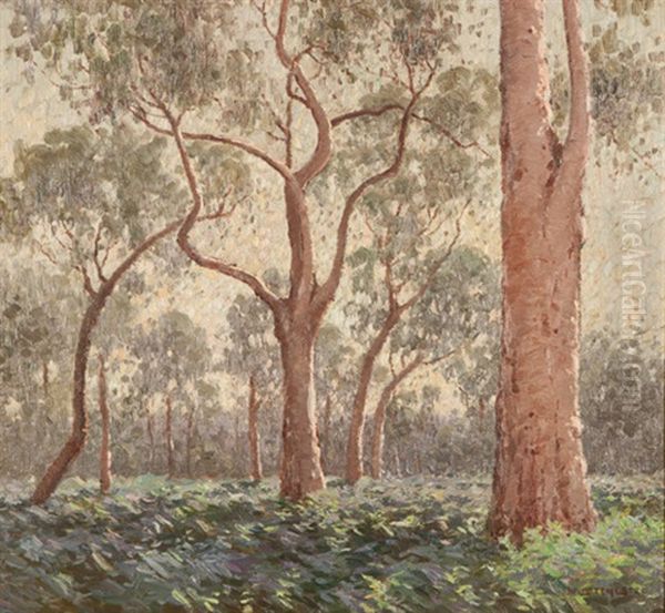 Towering Trees And Shining Light Oil Painting by William Lister-Lister