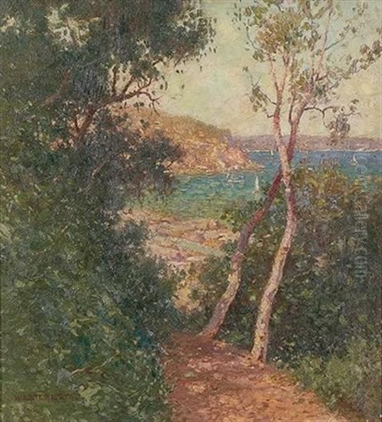 Taylor Bay, Sydney Harbour by William Lister-Lister