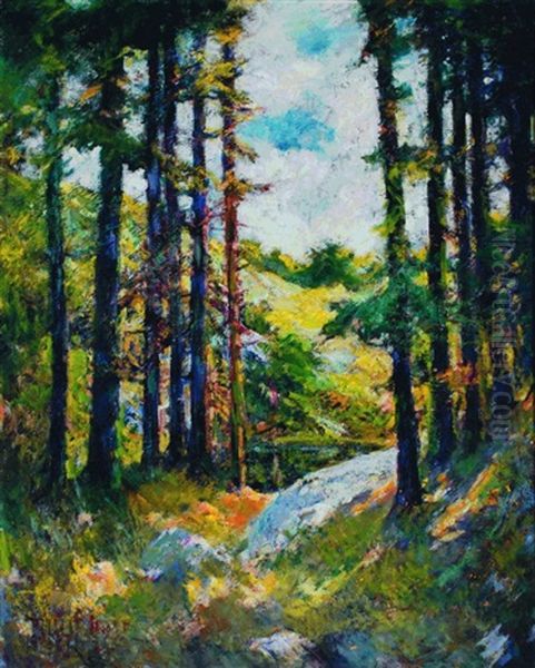 The Clearing On Mcmahan Island, Sheepscot River, Boothbay Harbor Oil Painting by Philip Little