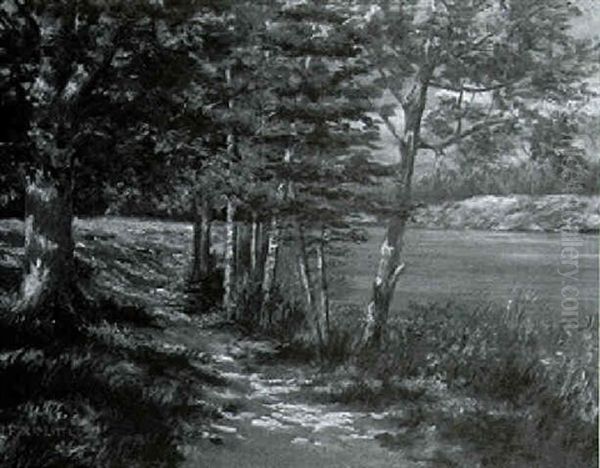 Path By A Lake Oil Painting by Philip Little