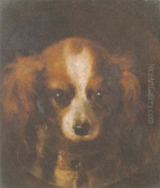 Head Of A King Charles Spaniel Oil Painting by Henry Liverseege