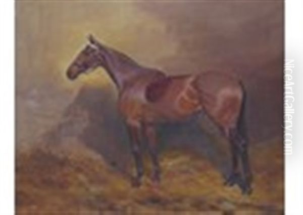 A Grey In A Stable And A Bay Hunter In A Stable (a Pair) Oil Painting by Thomas Ivester Lloyd