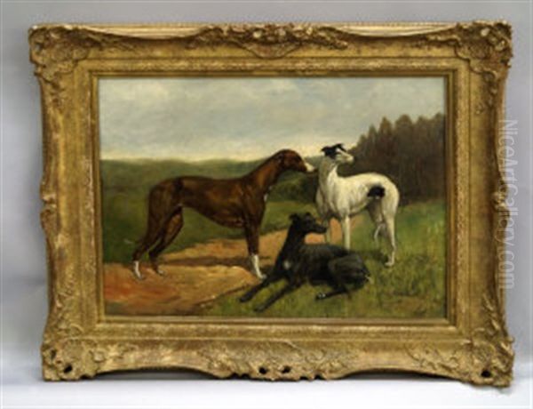 Three Greyhounds Oil Painting by Thomas Ivester Lloyd