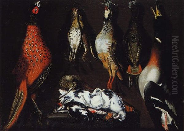 Nature Morte Avec Un Faisan, Des Perdrix, Un Canard Et Des Pigeons Sur Un Entablement Oil Painting by Alessandro de Loarte