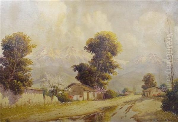 Mountain Scene by Alfredo Lobos