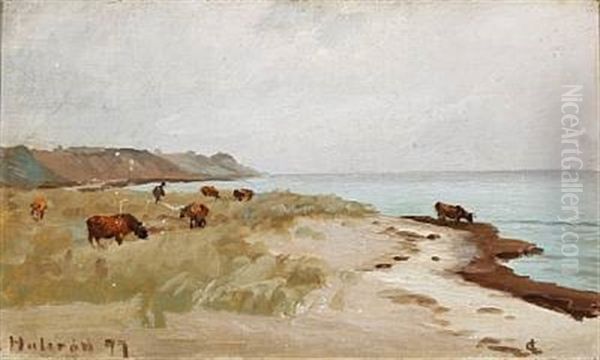 Beach Scene With Cows, Hulerod In Denmark Oil Painting by Carl Ludvig Thilson Locher