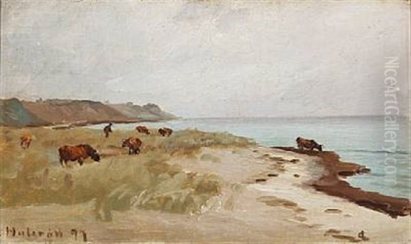 Beach Scene With Cows, Hulerod In Denmark Oil Painting by Carl Ludvig Thilson Locher