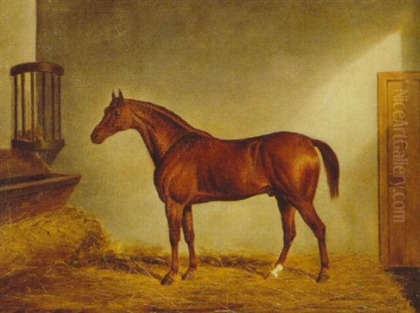 A Chestnut Hunter In A Loosebox Oil Painting by James Loder Of Bath