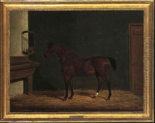 The Rev. D. Locke's Hunter In A Stable Oil Painting by James Loder Of Bath