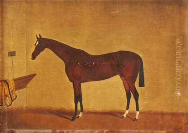 A Bay Horse In A Stable Oil Painting by Edwin (of Bath) Loder