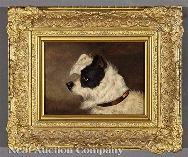 Norfolk Black And White Terrier And White Bull Terrier (2 Works) Oil Painting by Edwin (of Bath) Loder