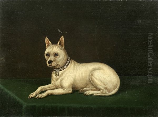 Cribb, A White Terrier Oil Painting by Edwin (of Bath) Loder