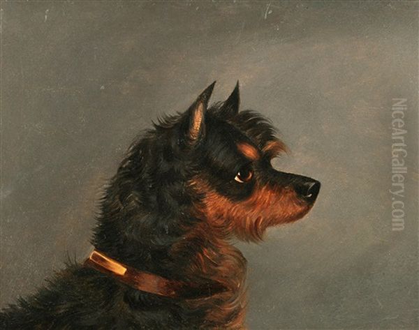 Head Of A Norwich Terrier Oil Painting by Edwin (of Bath) Loder