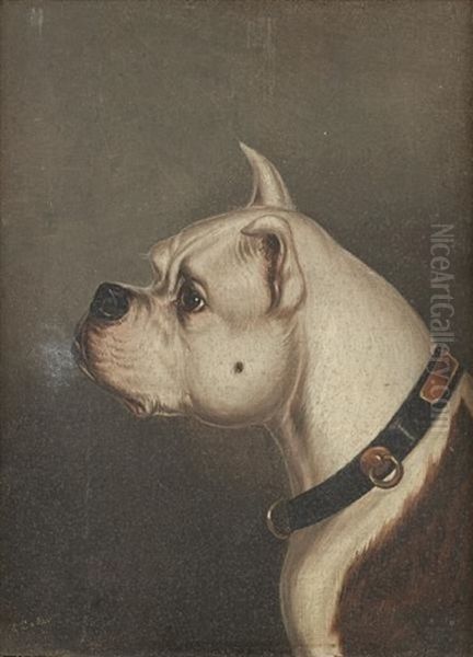 Bulldog Head (study)(pair) Oil Painting by Edwin (of Bath) Loder