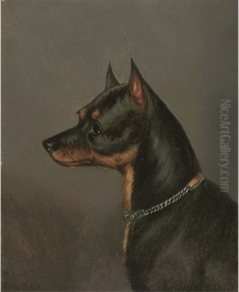 Head Of A Terrier Oil Painting by Edwin (of Bath) Loder