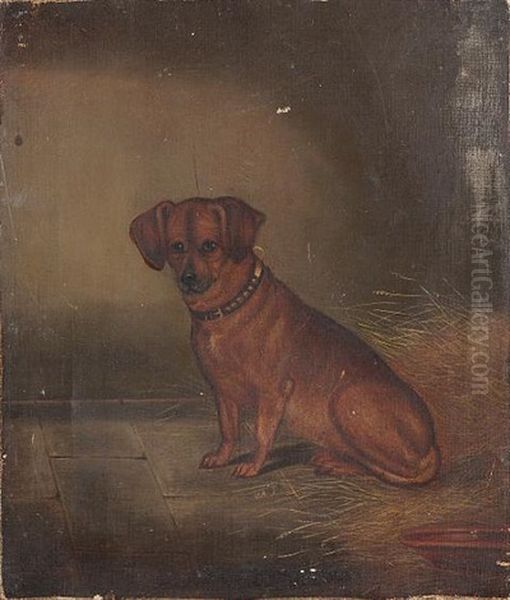 A Seated Dachshund Oil Painting by Edwin (of Bath) Loder