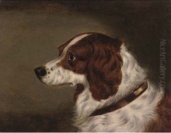 The Head Of A Spaniel (+ The Head Of Gundog; Pair) Oil Painting by Edwin (of Bath) Loder