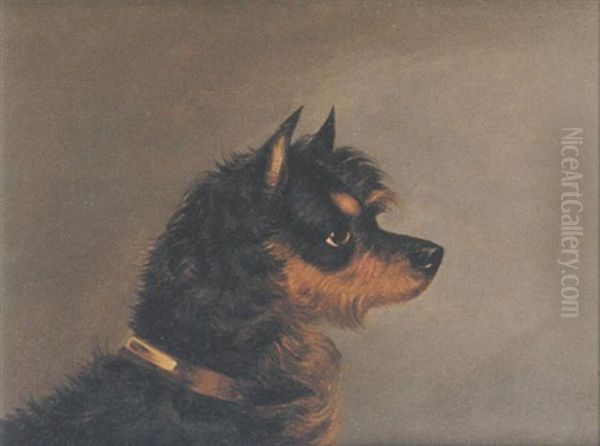 Norwich Terrier Oil Painting by Edwin (of Bath) Loder