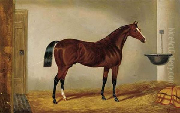 A Chestnut Hunter Oil Painting by Edwin (of Bath) Loder