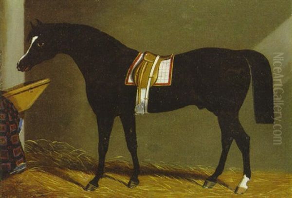 A Saddled Brown Hunter In A Loosebox Oil Painting by Edwin (of Bath) Loder