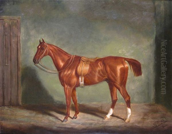 A Chestnut Hunter In A Stable Oil Painting by James (of Bath) Loder