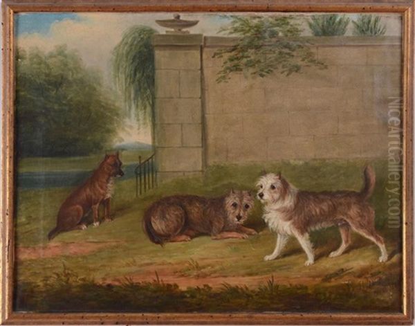 Terriers In A Park Oil Painting by James (of Bath) Loder