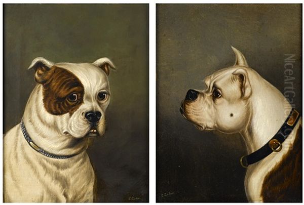 Two Bulldogs (2 Works) Oil Painting by James (of Bath) Loder