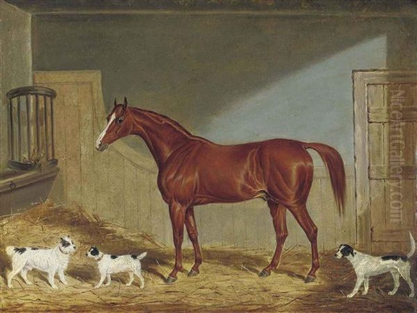 A Chestnut Hunter, Two Terriers And A Hound In A Stable Oil Painting by James (of Bath) Loder