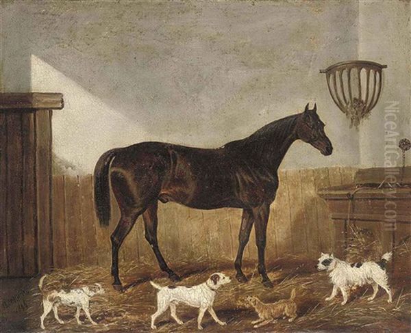 A Favourite Hunter And Terriers In A Stable Oil Painting by James (of Bath) Loder