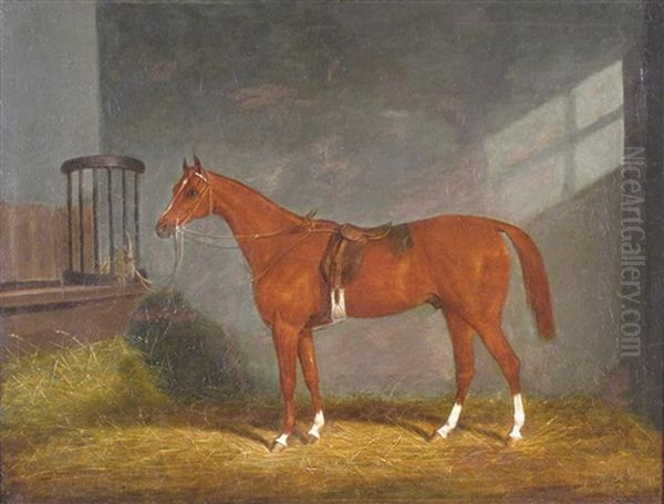 Bay Horse In A Stable Oil Painting by James (of Bath) Loder