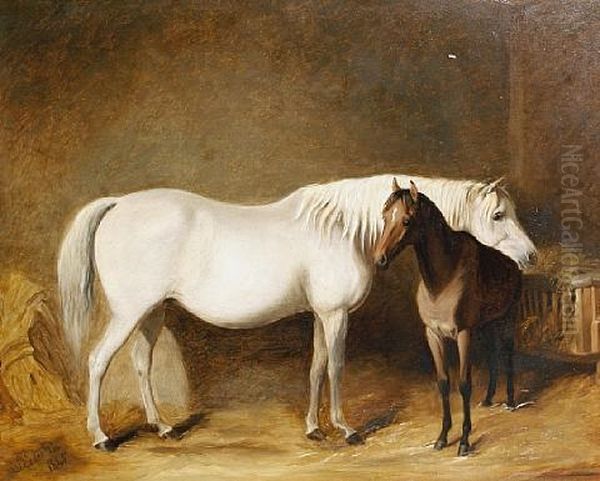 Horse And Foal In A Stable Oil Painting by James (of Bath) Loder