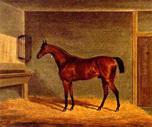 A Bay Racehorse In A Stable Oil Painting by James (of Bath) Loder