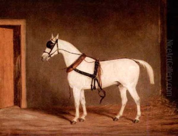 Horse On Harness Oil Painting by James (of Bath) Loder