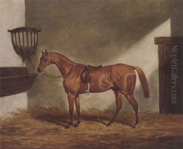 A Saddled Chestnut Hunter In A Stable Oil Painting by James (of Bath) Loder