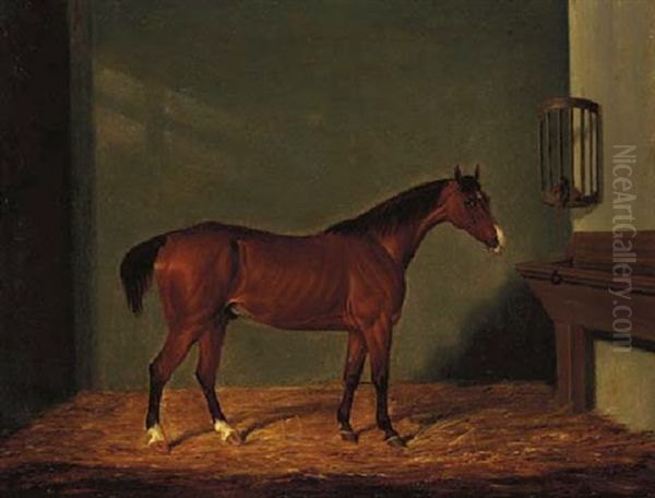 A Bay Hunter In A Stable Oil Painting by James (of Bath) Loder