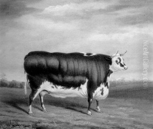 Portrait Of A Bovine Oil Painting by James (of Bath) Loder