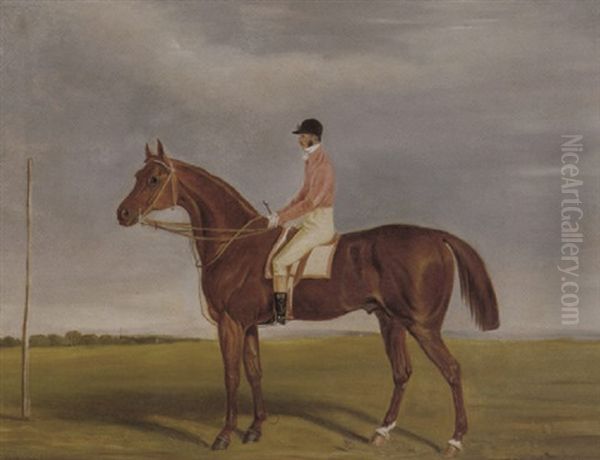 A Chestnut Racehorse With Jockey Up Oil Painting by James (of Bath) Loder