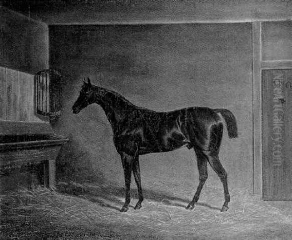 A Dark Bay Hunter In A Stable Oil Painting by James (of Bath) Loder