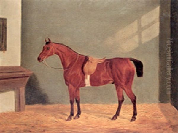 A Saddled Chestnut Hunter In A Loosebox Oil Painting by James (of Bath) Loder