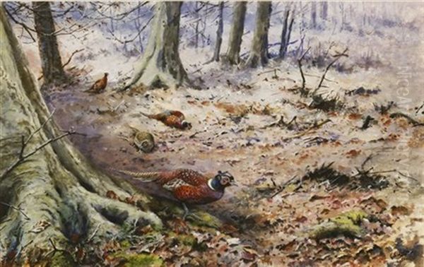 Pheasants In A Winter Woodland Oil Painting by George Edward Lodge