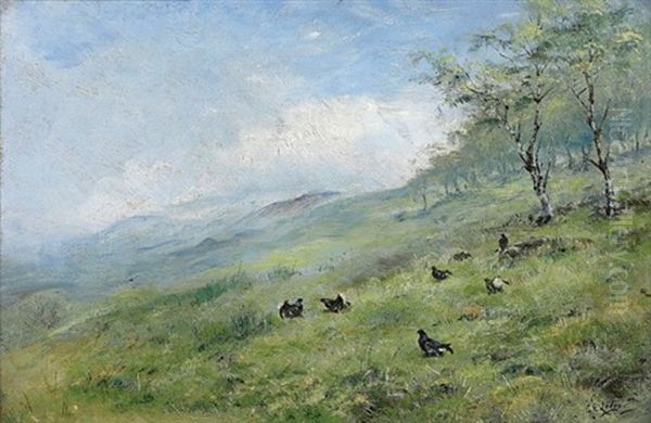 Blackcocks Displaying Oil Painting by George Edward Lodge