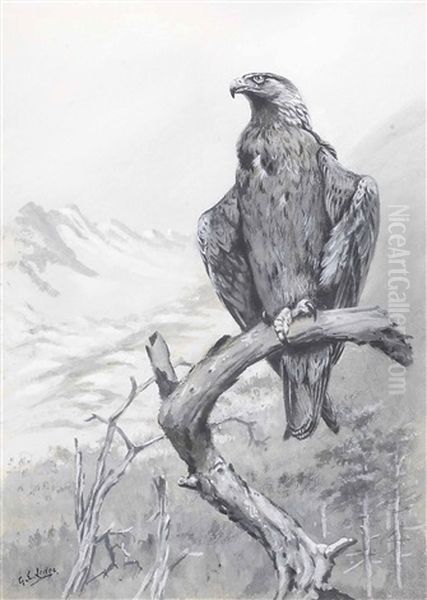 Golden Eagle On A Branch Oil Painting by George Edward Lodge