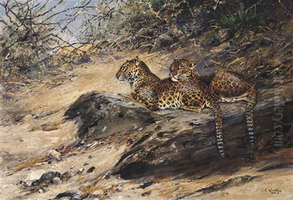 Leopards In The Shade Oil Painting by George Edward Lodge